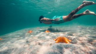 VISIT CAYO CORAL, CAYO ZAPATILLA &...